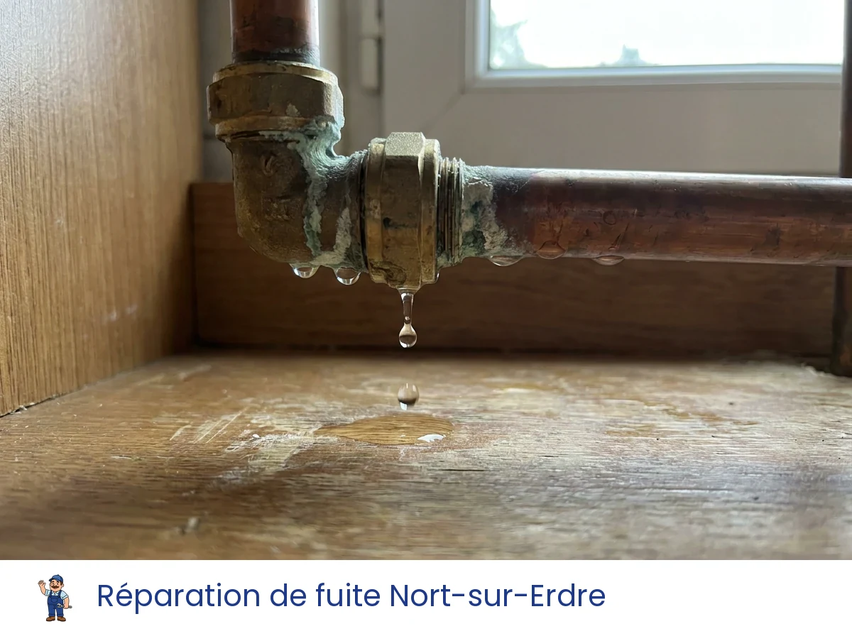 Réparation de fuite à Nort-sur-Erdre
